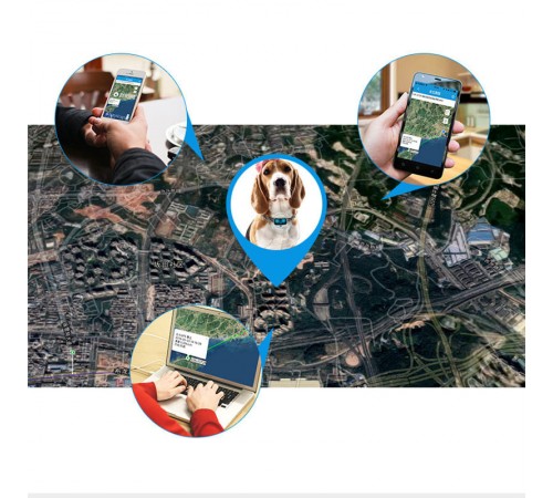 Трекер GPS для тварин V43 Pet Tracker SIM (4GLTE+3GWCDMA+2GGSM) 1300mAh Black Трекер GPS для тварин V43 Pet Tracker SIM (4GLTE+3GWCDMA+2GGSM) 1300mAh Black