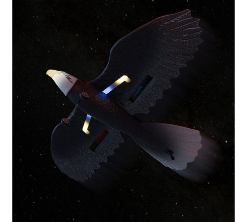 Літак-птица на радіокеруванні SCHE HW40 Eagle Black Літак-птица на радіокеруванні SCHE HW40 Eagle Black