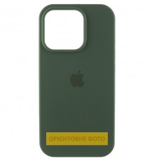 Чохол Silicone Case (AA) Logo with MagSafe для Apple iPhone 16e (6.1") Зелений / Cyprus Green