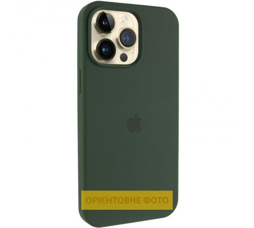Чохол Silicone Case (AA) Logo with MagSafe для Apple iPhone 17 Pro (6.3") Зелений / Cyprus Green Чохол Silicone Case (AA) Logo with MagSafe для Apple iPhone 17 Pro (6.3") Зелений / Cyprus Green