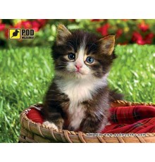 Килимок для миші Podmyshku Кошеня в кошику