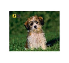 Килимок для миші Podmyshku Кудлате щеня