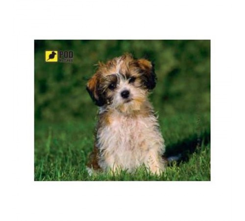 Килимок для миші Podmyshku Кудлате щеня