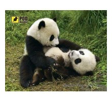 Килимок для миші Podmyshku Панди