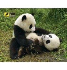 Килимок для миші Podmyshku Панди