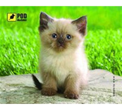 Килимок для миші Podmyshku Сіамський котик