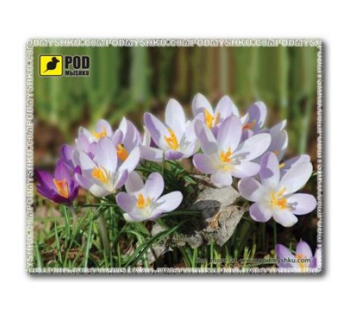Килимок для миші Pod Mishkou Весна-Крокуси